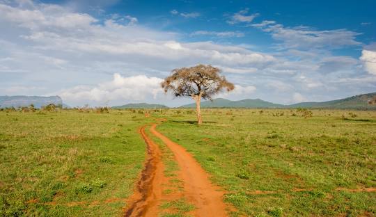 KENYA- Explore the Wilderness, Embrace the Beauty of Nature, Experience Cultural Richness, and Enjoy Unmatched Hospitality.